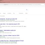 La recherche Google rend le site France Nationaliste « semi-invisible »
