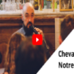 La chevalerie, une institution périmée ? – Le Pellerin