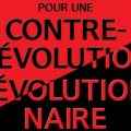 Révolution conservatrice ou rétablir l’ordre dans le chaos